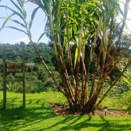 Pousada Mendonça-3